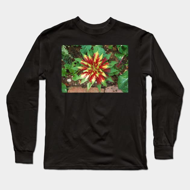 Amaranthus Tricolor Long Sleeve T-Shirt by jojobob